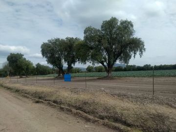 VENTA HECTAREAS EN SAN LUIS REY GTO.