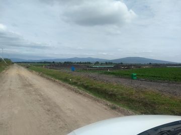 VENTA HECTAREAS EN SAN LUIS REY GTO.