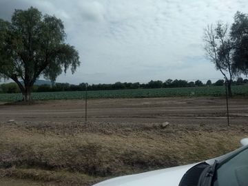 VENTA HECTAREAS EN SAN LUIS REY GTO.
