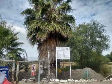 VENTA HECTAREAS EN SAN LUIS REY GTO.