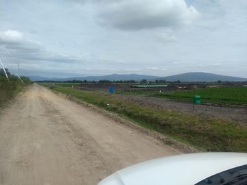 VENTA HECTAREAS EN SAN LUIS REY GTO.