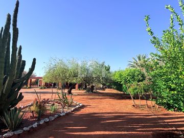 HACIENDA CAMPESTRE