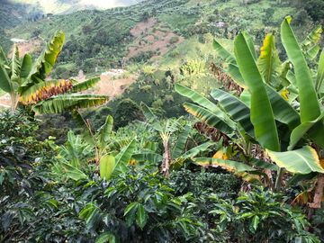 VENTA DE FINCA EN GENOVA MAGNIFICA - TAMBIEN SE PERMUTA
