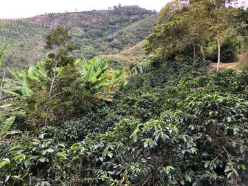 VENTA DE FINCA EN GENOVA MAGNIFICA - TAMBIEN SE PERMUTA