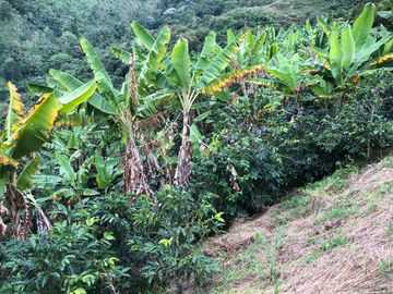 VENTA DE FINCA EN GENOVA MAGNIFICA - TAMBIEN SE PERMUTA