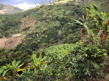 VENTA DE FINCA EN GENOVA MAGNIFICA - TAMBIEN SE PERMUTA
