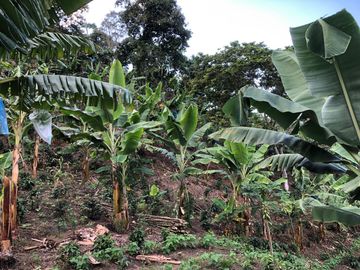 VENTA DE FINCA EN GENOVA MAGNIFICA - TAMBIEN SE PERMUTA