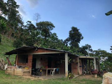 VENTA DE FINCA EN GENOVA MAGNIFICA - TAMBIEN SE PERMUTA