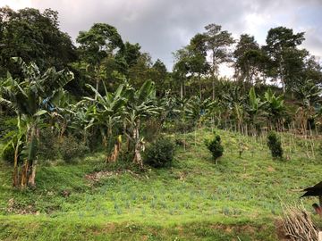 VENTA DE FINCA EN GENOVA MAGNIFICA - TAMBIEN SE PERMUTA