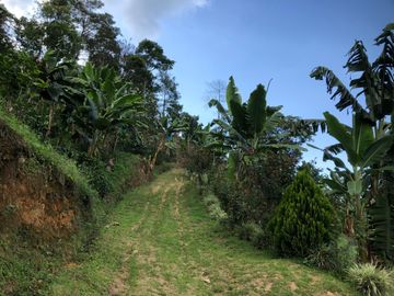 VENTA DE FINCA EN GENOVA MAGNIFICA - TAMBIEN SE PERMUTA