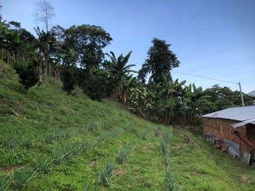 VENTA DE FINCA EN GENOVA MAGNIFICA - TAMBIEN SE PERMUTA