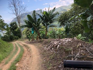 VENTA DE FINCA EN GENOVA MAGNIFICA - TAMBIEN SE PERMUTA
