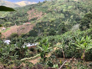 VENTA DE FINCA EN GENOVA MAGNIFICA - TAMBIEN SE PERMUTA