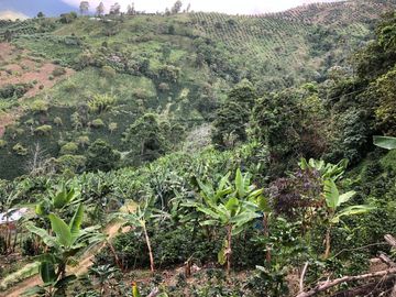 VENTA DE FINCA EN GENOVA MAGNIFICA - TAMBIEN SE PERMUTA