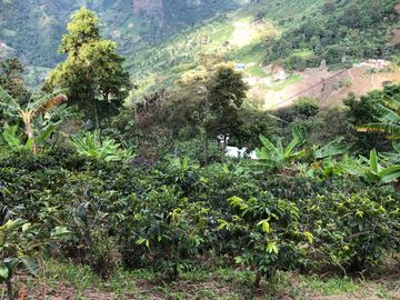 VENTA DE FINCA EN GENOVA MAGNIFICA - TAMBIEN SE PERMUTA