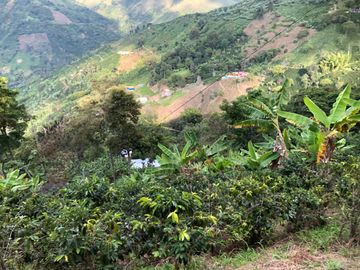 VENTA DE FINCA EN GENOVA MAGNIFICA - TAMBIEN SE PERMUTA