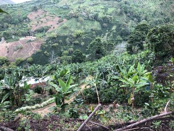 VENTA DE FINCA EN GENOVA MAGNIFICA - TAMBIEN SE PERMUTA