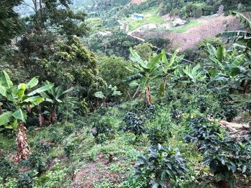 VENTA DE FINCA EN GENOVA MAGNIFICA - TAMBIEN SE PERMUTA