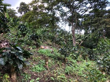 VENTA DE FINCA EN GENOVA MAGNIFICA - TAMBIEN SE PERMUTA