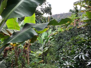 VENTA DE FINCA EN GENOVA MAGNIFICA - TAMBIEN SE PERMUTA
