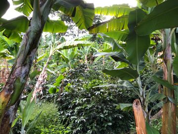 VENTA DE FINCA EN GENOVA MAGNIFICA - TAMBIEN SE PERMUTA