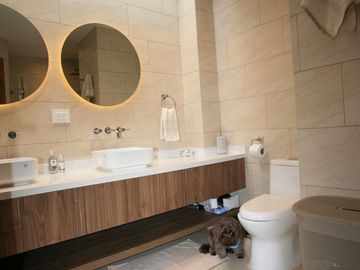 EL DEPARTAMENTO QUE LO TIENE TODO – UBICACIÓN, UBICACIÓN, DISEÑO Y ENCANTO 🔑✨