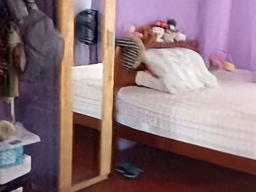 VENDO CASA LOS OLIVOS AV UNIVERSITARIA Y TOMAS VALLE ESPALDA DE PLAZA VEA