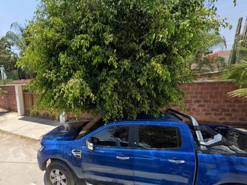 SE VENDE CASA EN CALLE DALIA BRISAS CUAUTLA MORELOS MMDO