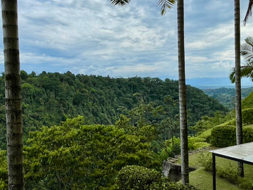 Extraordinario apartamento en Reservas del Campestre con vista al bosque nativo. Club Campestre. Cerritos. Pereira - Colombia.