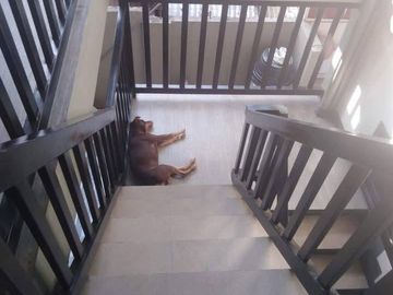 FULLY FURNISHED HOUSE AND LOT