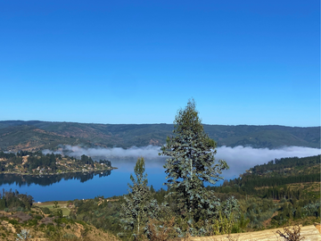 Parcela con Vista al Lago Vichuquén