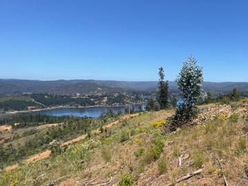 Parcela con Vista al Lago Vichuquén