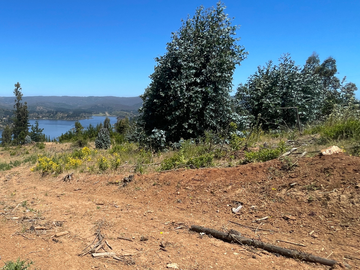 Parcela con Vista al Lago Vichuquén