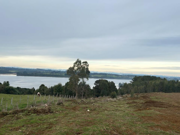 Venta de Terreno de 5,96ha en La Poza de Quenuir, Maullín