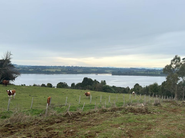 Venta de Terreno de 5,96ha en La Poza de Quenuir, Maullín