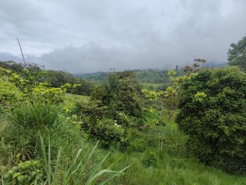 Vendo terreno de 67 Hectáreas, Provincia Imbabura, Villa Flora
