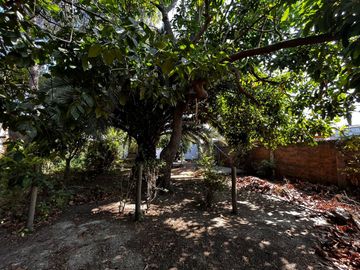 Quillota Centro, Amplia Casa, 4 dormitorios, 3 baños, 760 M2 terreno