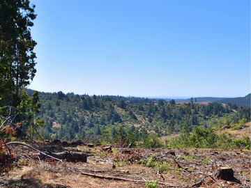 Parcelas en Pichilemu, sector Quebrada de Nuevo Reino