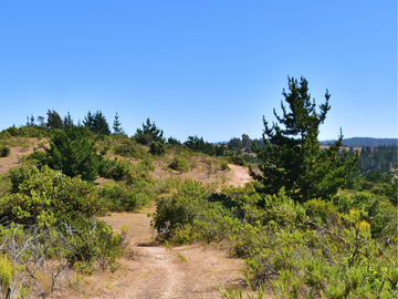 Parcelas en Pichilemu, sector Quebrada de Nuevo Reino