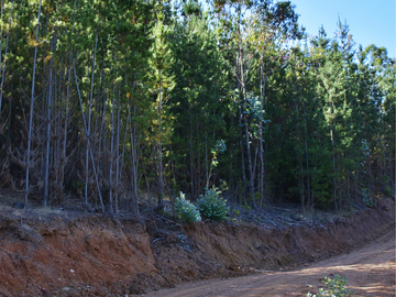 Parcelas en Pichilemu, sector Quebrada de Nuevo Reino
