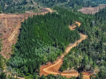 Parcelas en Pichilemu, sector Quebrada de Nuevo Reino