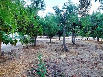 Preciosa Parcela 157/5.600 Terreno Plano Con Proyección