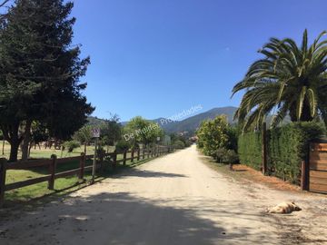 Preciosa Parcela 157/5.600 Terreno Plano Con Proyección