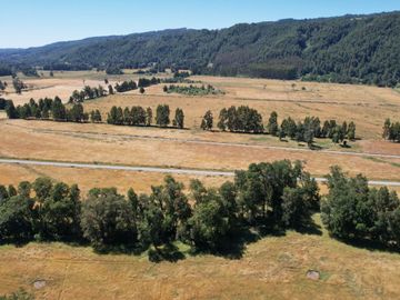 Hermosas Parcelas en Villarrica con crédito directo cuotas desde $ 388.000 aprox.