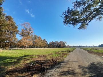 Hermosas Parcelas en Villarrica con crédito directo cuotas desde $ 388.000 aprox.