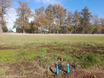 Hermosas Parcelas en Villarrica con crédito directo cuotas desde $ 388.000 aprox.