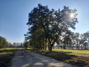 Hermosas Parcelas en Villarrica con crédito directo cuotas desde $ 388.000 aprox.