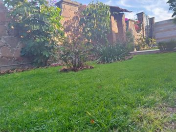 CASA CALLE CHIHUAHUA COLONIA BANTHI