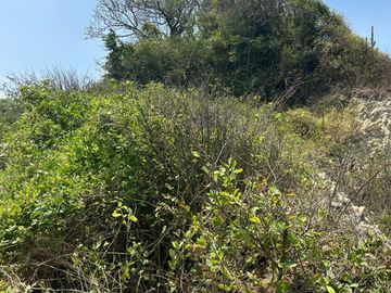 HACIENDA 18 HA. OPORTUNIDAD EN CANOA BRICEÑO