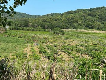 HACIENDA 18 HA. OPORTUNIDAD EN CANOA BRICEÑO